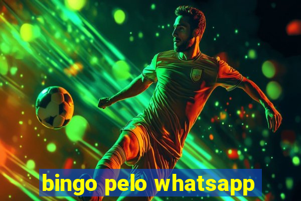 bingo pelo whatsapp